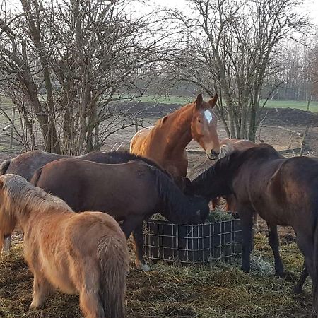 Muehlenberger Ponyhof Appartement Duisburg Buitenkant foto