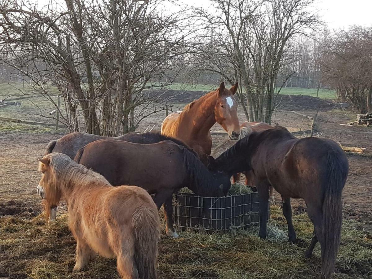 Muehlenberger Ponyhof Appartement Duisburg Buitenkant foto
